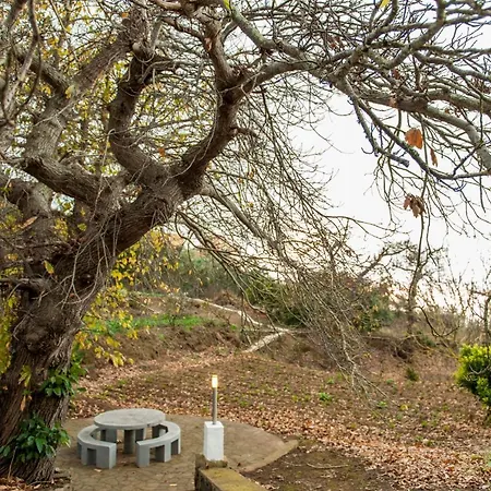 Castanos - Panoramic View * سانتا كروز دي تينيريف