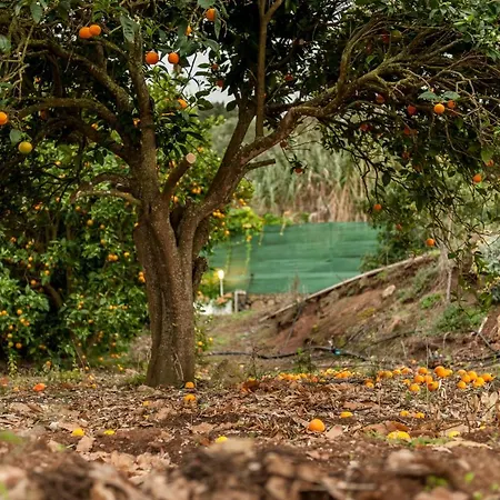 Castanos - Panoramic View فيلة